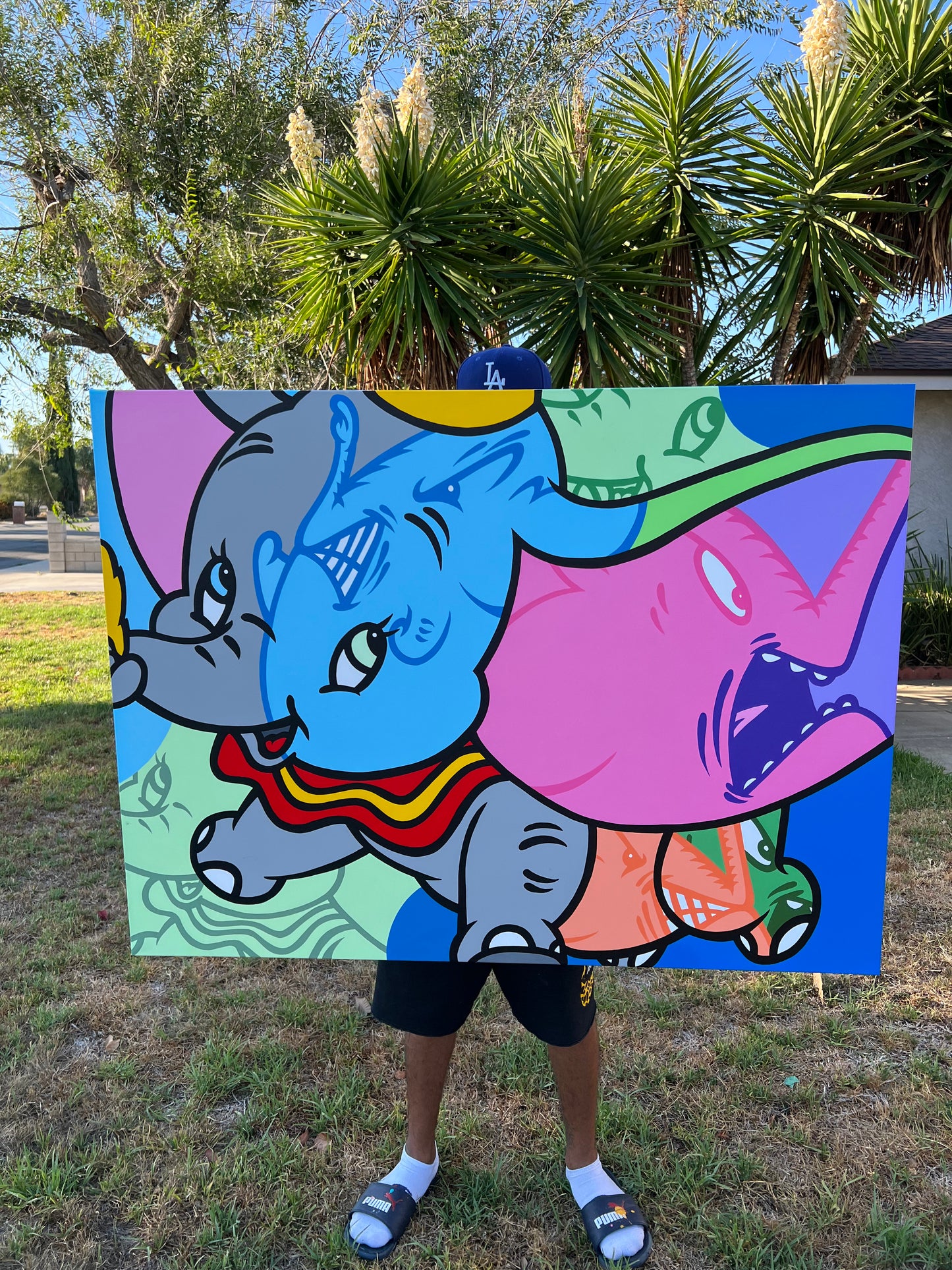 Flying Charlie dumbo